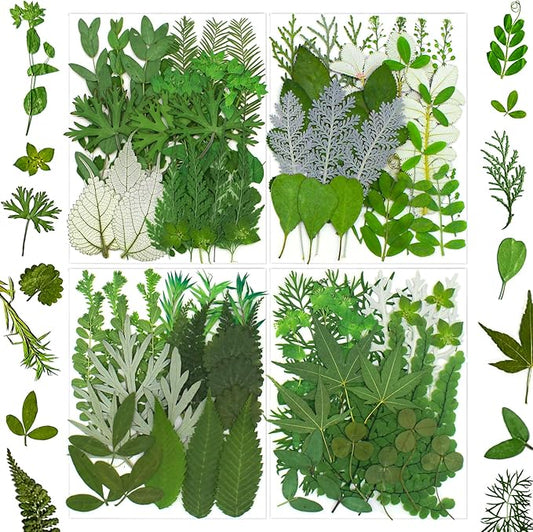 100 Pcs Dried Pressed Flowers Leaves for Resin Molds, Real Natural Bulk Dry Wildflowers Perfect for Epoxy, DIY Crafts, Soap Candles Jewelry Making, and Home Decor