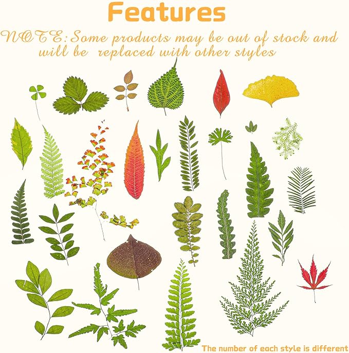 Nuanchu 99 Pieces Assorted Pressed Leaves for Crafts Real Dried Leaves for Resin Plant Herbarium Flowers for Art Craft DIY Jewelry Decoration Handmade Bookmarks, 5 Bags(Classic Style)
