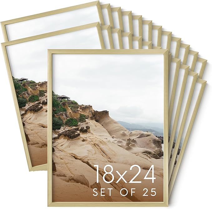 HAUS AND HUES 18x24 Gold Metal Picture Frames - Features Premium Aluminum, Vertical & Horizontal Hang, Shatterproof Plexiglass - Perfect for Home, Room, Office (18x24 in, Gold, Set of 25)