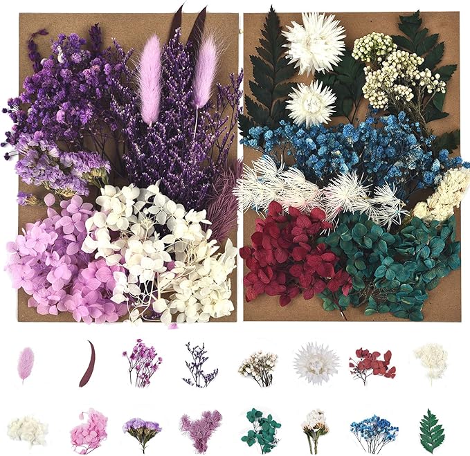 DALARAN Dried Pressed Flowers for Soap Candle Making and Resin Jewelry Making Pressed Leaves (Purple Blue Set)