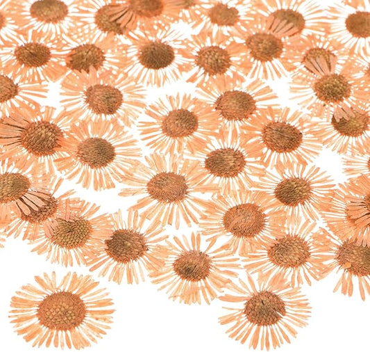 12-Pack Dried Pressed Flowers for Resin, Real Natural Bulk Dry Floral for Crafts/DIY Jewelry/Soap Making/Scrapbooking/Candle/Epoxy Resin Supplies [Orange]