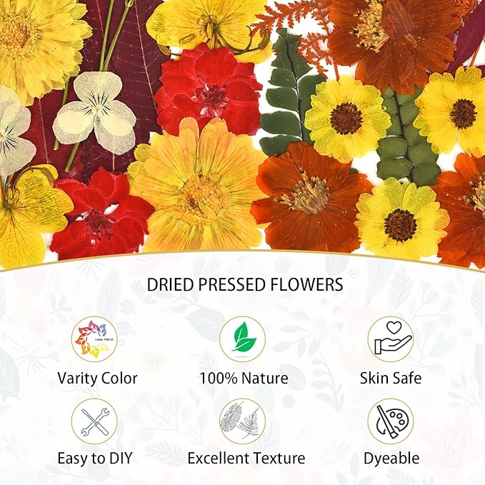 DALARAN 75 PCS Fall Natural Dried Flower for Soap Making, Candle Making and Resin Jewelry Making Pressed Flower Art Floral Decors