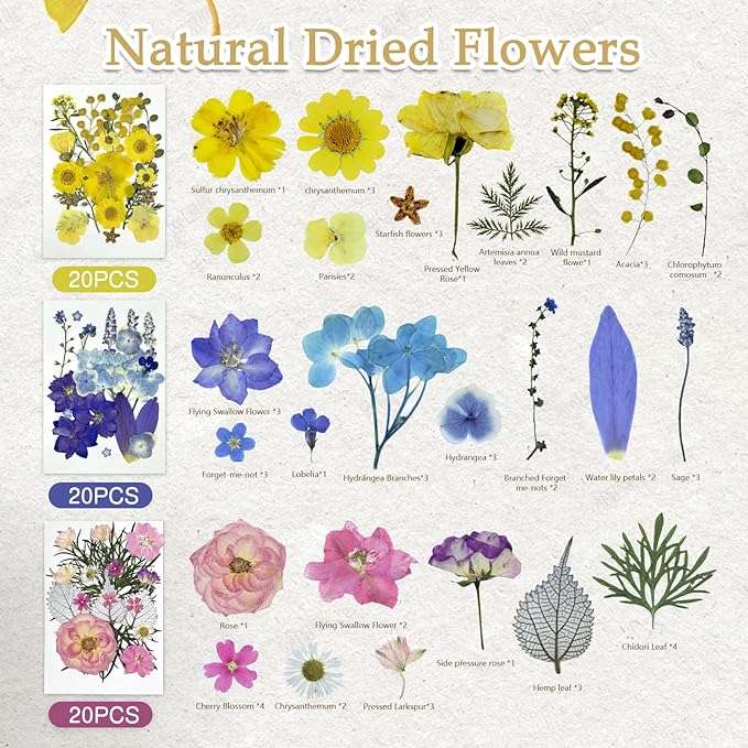 173Pcs Real Dried Pressed Flowers for Crafts - Natural Dry Flower Kit for Resin, Stickers, Bookmarks, Candle Making, Soap, Nail Art, Frames, Invitations & Jewelry