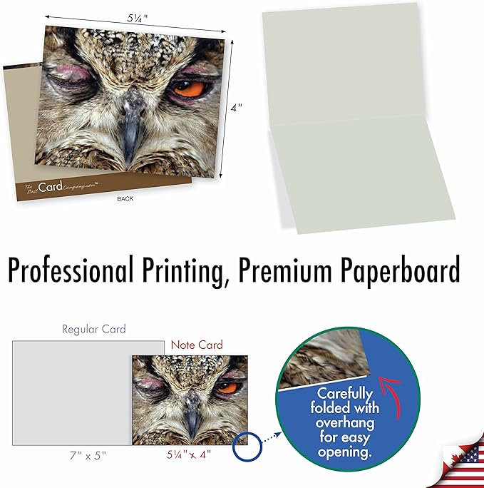 The Best Card Company - 10 Bird Note Cards Blank (4 x 5.12 Inch) - All Occasion Cards with Envelopes, Boxed Set - What a Hoot M1769BN