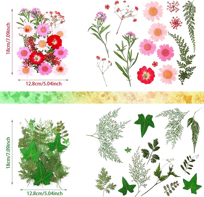 Nuanchu Dried Pressed Flowers for Crafts Resin Christmas Dried Flowers Bulk Real Natural Pressed Wildflowers with Tweezer for Resin Mold Scrapbooking Nail Soap Candle Cake Card Making DIY Supplies