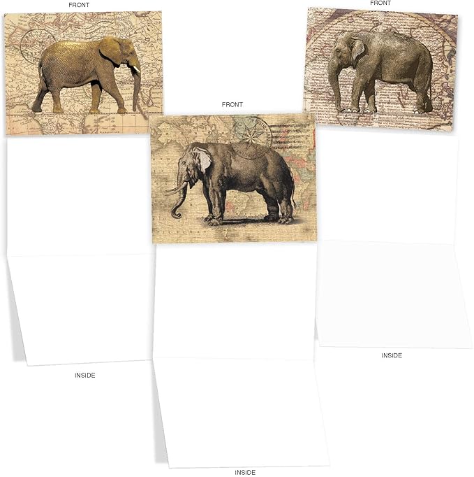 The Best Card Company - 10 Blank Animal Cards Boxed (4 x 5.12 Inch) - Assorted Pets, Zoo, Wildlife Cards for Kids - Trunk Mail M9636OCB
