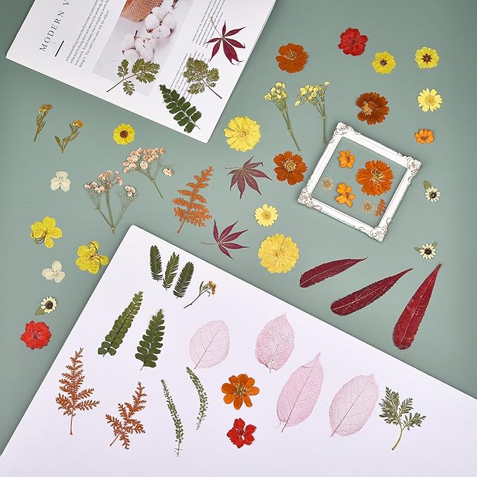 DALARAN 75 PCS Fall Natural Dried Flower for Soap Making, Candle Making and Resin Jewelry Making Pressed Flower Art Floral Decors