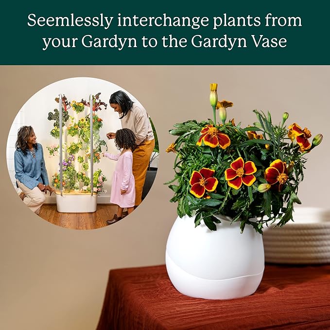 Gardyn Vase Complete Kit - Red Amaranth | Designed for use with Gardyn Hydroponics Growing System Kits & Vertical Garden Hydroponic Gardens | Bring Gardyn’s Indoor Plants to All Areas of Your Home