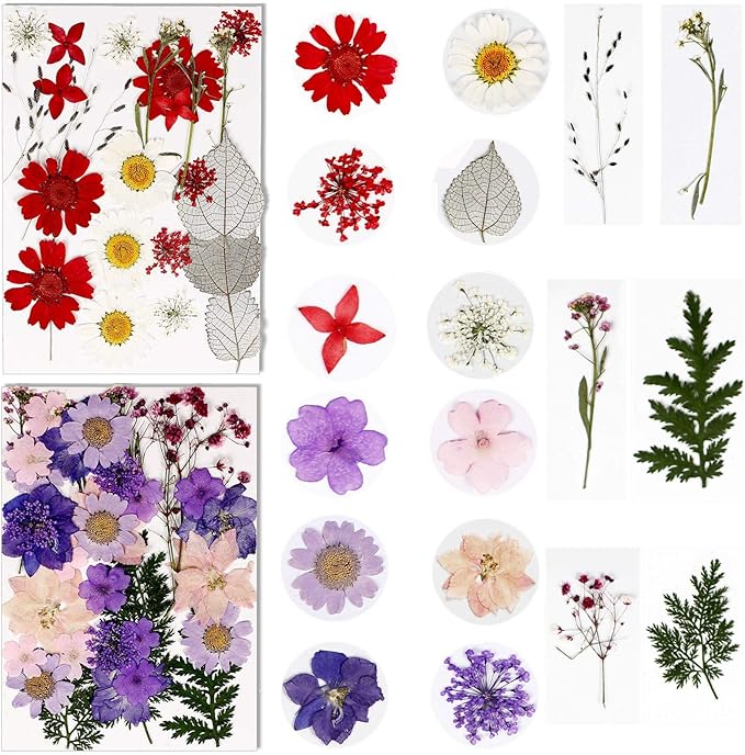 BIHRTC 100PCS Died Pressed Flowers Natural Colorful Real Dry Flowers Leaves Set for Resin Jewelry Making DIY Craft Candle Nail Art