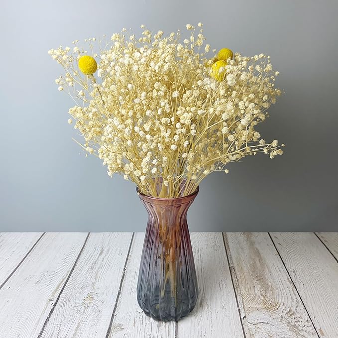 L'BREVOGA Baby's Breath Bulk with Billy Button, 16 inches Preserved Baby's Breath for Floral Arrangments Home Wedding Decoration (Gypsophila White)