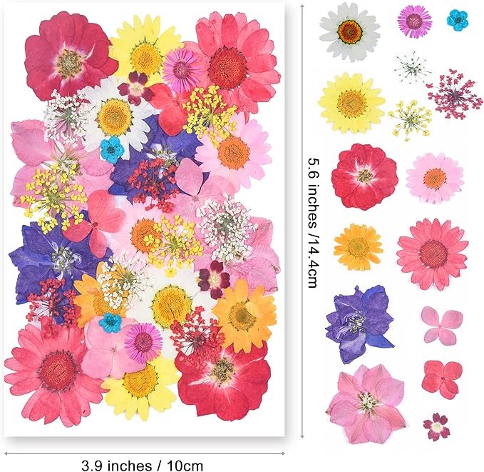 YouthBro Dried Pressed Flowers for Resin Molds,Real Natural Pressed Flowers for DIY Art Crafts,Candle Making, Nails Décor,Soap Making, Phone Case Red Pink