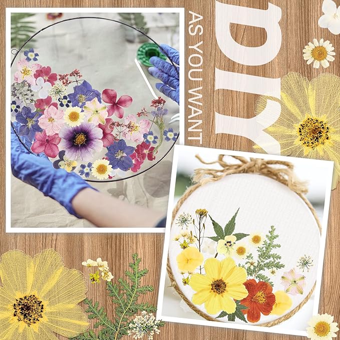 Nuanchu Dried Pressed Flowers for Crafts Resin Pressed Flowers Bulk Purple Dried Wildflowers Leave Natural with Tweezer DIY Christmas Crafts Supplies for Resin Mold Scrapbooking Nail Soap Making