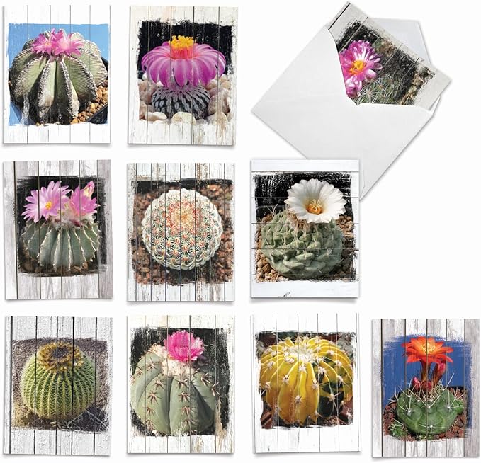 The Best Card Company - 10 Blank Note Cards with Envelopes (4 x 5.12 Inch) - Bulk All Occasion Cards Boxed - Flowering Cactus Spheres AM6439OCB-B1x10