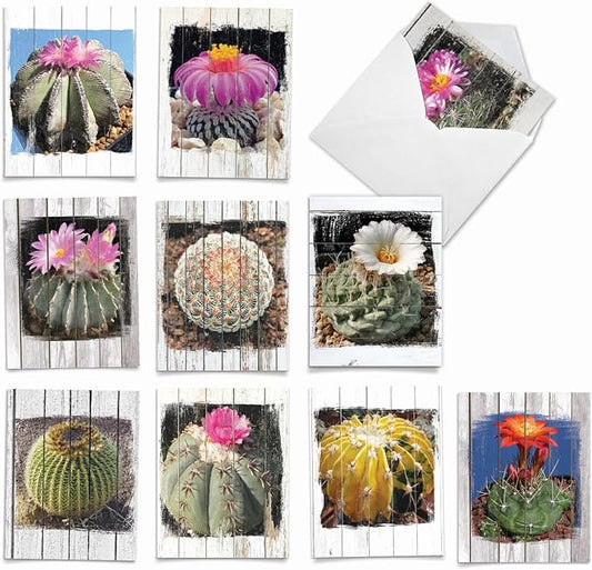 The Best Card Company - 10 Blank Note Cards with Envelopes (4 x 5.12 Inch) - Bulk All Occasion Cards Boxed - Flowering Cactus Spheres AM6439OCB-B1x10
