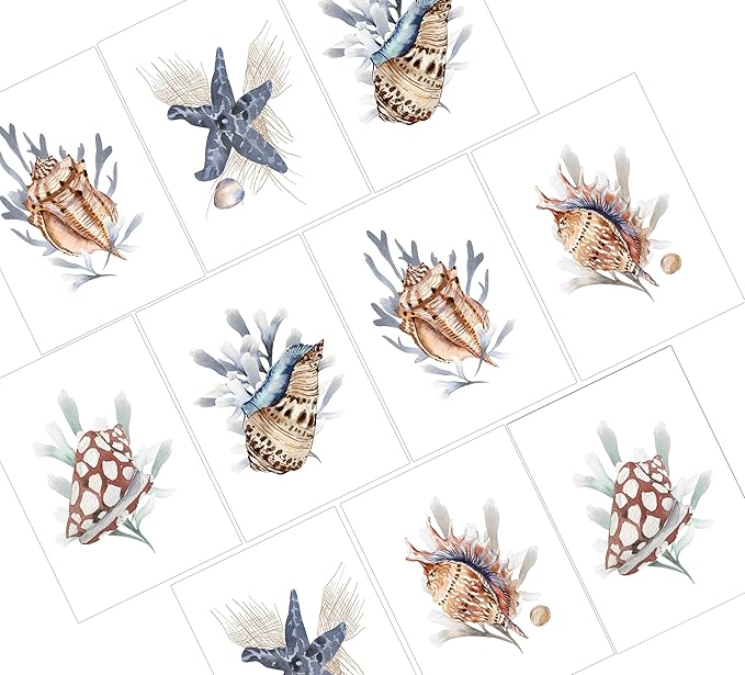 Sea Shell Greeting Cards - Set of 10 All Occasion 5 x 7 Note Cards with Envelopes. Blank Inside. Watercolor Designs of Seashells, Starfish and Coral