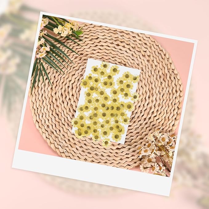 12-Pack Dried Pressed Flowers for Resin, Real Natural Bulk Dry Floral for Crafts/DIY Jewelry/Soap Making/Scrapbooking/Candle/Epoxy Resin Supplies/Photo Frames [Yellow]