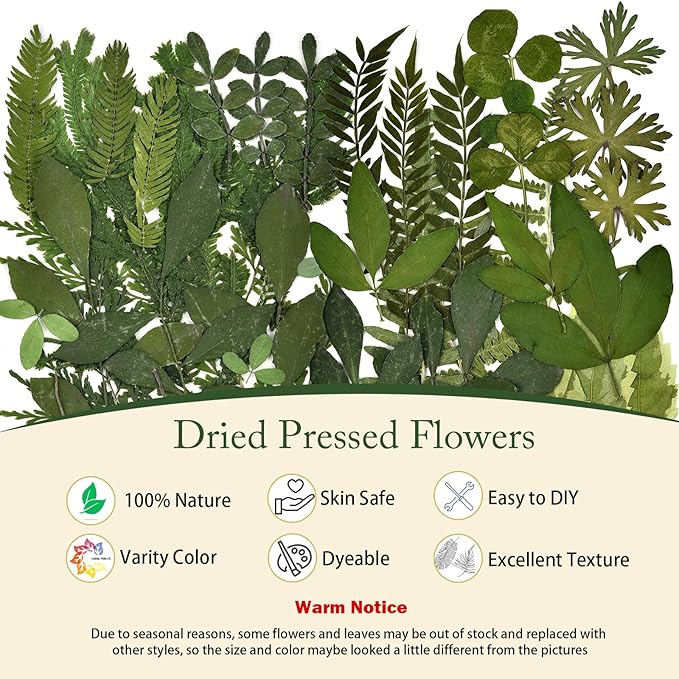DALARAN 42 PCS Dried Flowers for Craftsl Dried Pressed Leaves Natural Leaves for Pressed Leaf Art Craft DIY ,14 Styles