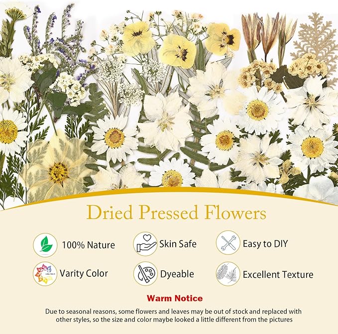 DALARAN 85Pcs White Dried Pressed Flowers for Resin Molds Real Pressed Flowers Dry Leaves Kit for Art Crafts Resin Jewelry Making Scrapbook Supplies Card Making Soap Candle DIY