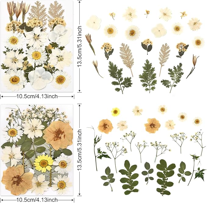 DALARAN 85Pcs White Dried Pressed Flowers for Resin Molds Real Pressed Flowers Dry Leaves Kit for Art Crafts Resin Jewelry Making Scrapbook Supplies Card Making Soap Candle DIY