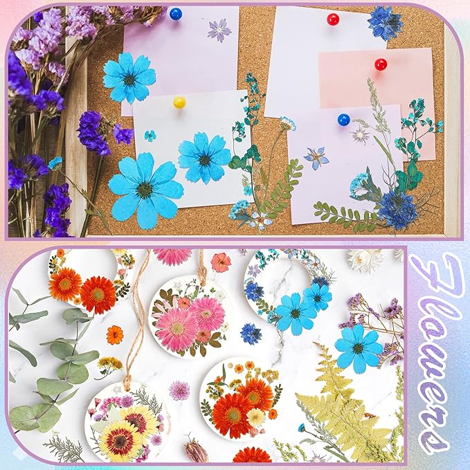 Nuanchu Dried Flower for Crafts Resin Pressed Flowers Bulk, Large Real Dried Wildflowers Leave Natural with Tweezer for Scrapbooking Nail Soap Candle Cake Card Making DIY Christmas Craft Supplies
