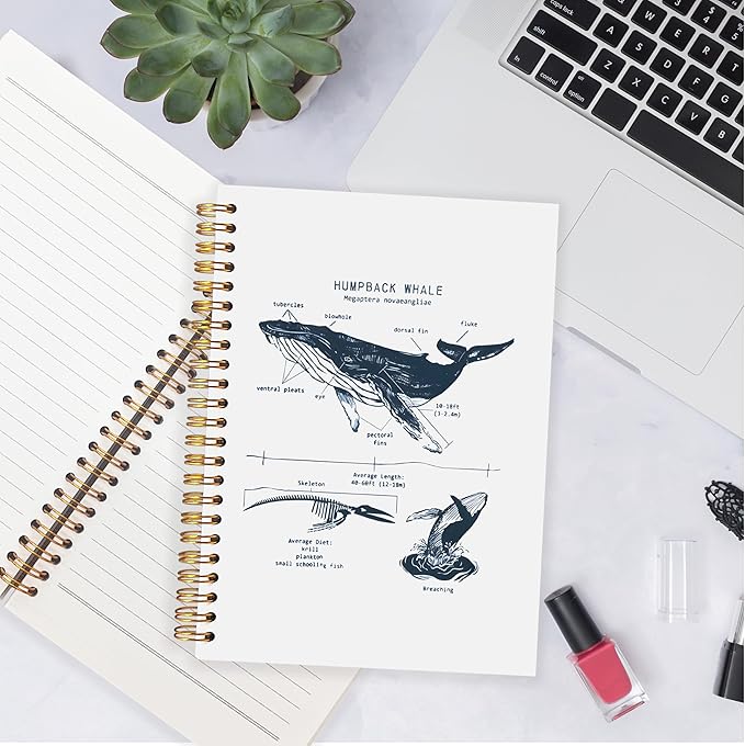 Humpback Whale Shark Notebook Journal for Note Taking, Marine Biology Shark Gifts, Ocean Animal Beach Spiral Notebook, Ocean Themed Gifts, 5.5x8.3 Inch