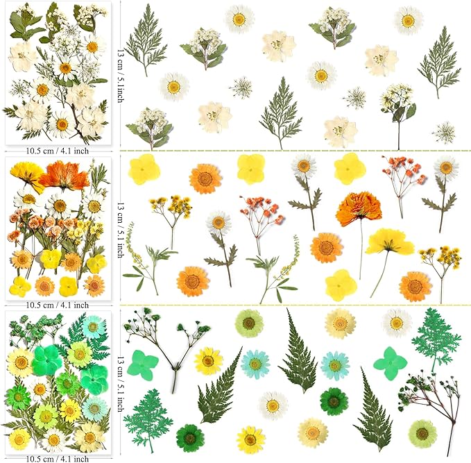 182Pcs Dried Pressed Flowers for Resin Molds, Assorted Real Natural Bulk Dry Floral Leaves for DIY Art Crafts, Epoxy Jewelry, Candle, Soap Making, Nails Decors Gifts