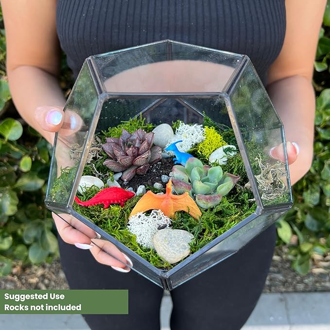 Cute Farms Glass Terrarium Kit | Just Add Your Own Plants (Geometric Glass + Live Plants)