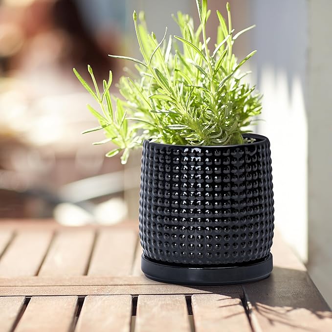 D'vine Dev Set of 2 Ceramic Plants Pots, 4 Inch Beaded Stoneware Flower Pot for Plants with Drainage Hole and Saucer, Glossy Black, 27-E-Z-2
