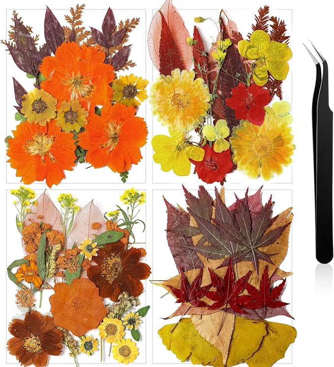 Nuanchu Fall Pressed Flowers Bulk Dried Flower for Crafts Autumn Orange Dried Wildflowers Natural Leave with Tweezer Fall Craft Supplies for Resin Mold Scrapbooking Nail Soap Making DIY Art Crafts