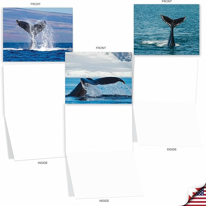 The Best Card Company - 10 All Occasion Blank Cards (4 x 5.12 Inch) - Nautical, Ocean, Sea Life Assortment of Notecards - Tales AM6839OCB-B1x10