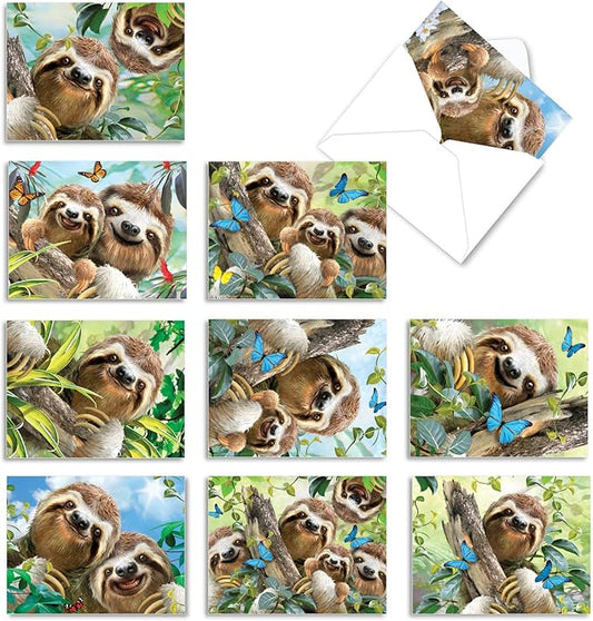 The Best Card Company - 10 Blank Animal Cards Boxed (4 x 5.12 Inch) - Assorted Pets, Zoo, Wildlife Cards - Smiling Sloths AM6864OCB-B1x10