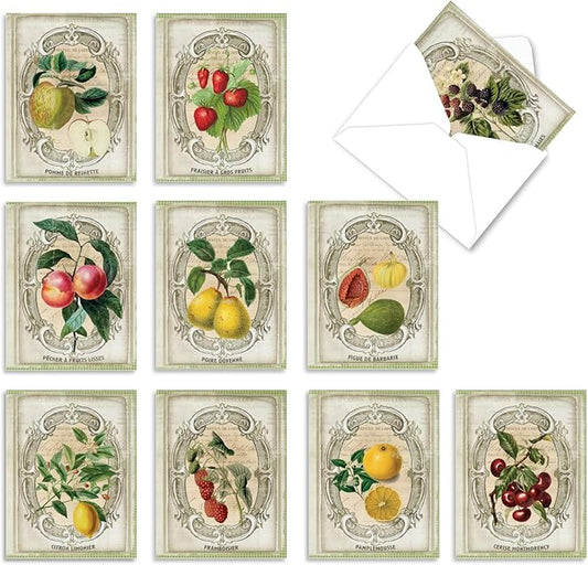 The Best Card Company - 10 Retro Blank Cards with Envelopes (4 x 5.12 Inch) - Artistic Boxed Assortment, Vintage Note Cards - French Fruit M4190OCB-B1x10