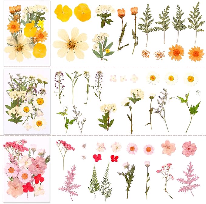 Pressed Dried Flowers 102pcs Natural Mixed Colors – Real Preserved Petals for Crafting, Art, Candles, Scrapbooking, Floral Decor, Nail Design – Dried Flowers for Crafts & Pressed Flowers Kit