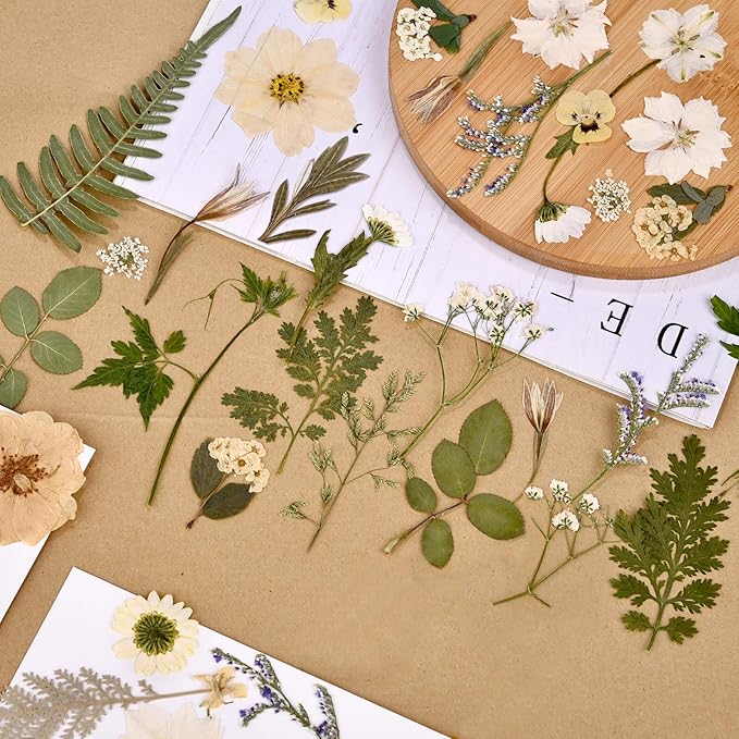DALARAN 85Pcs White Dried Pressed Flowers for Resin Molds Real Pressed Flowers Dry Leaves Kit for Art Crafts Resin Jewelry Making Scrapbook Supplies Card Making Soap Candle DIY