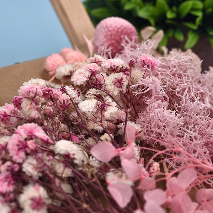DALARAN 3 Pack Pressed Flowers for Candle Making DIY Dried Flowers Multiple Natural Pressed Flowers Colorful Decorative Dried Flowers