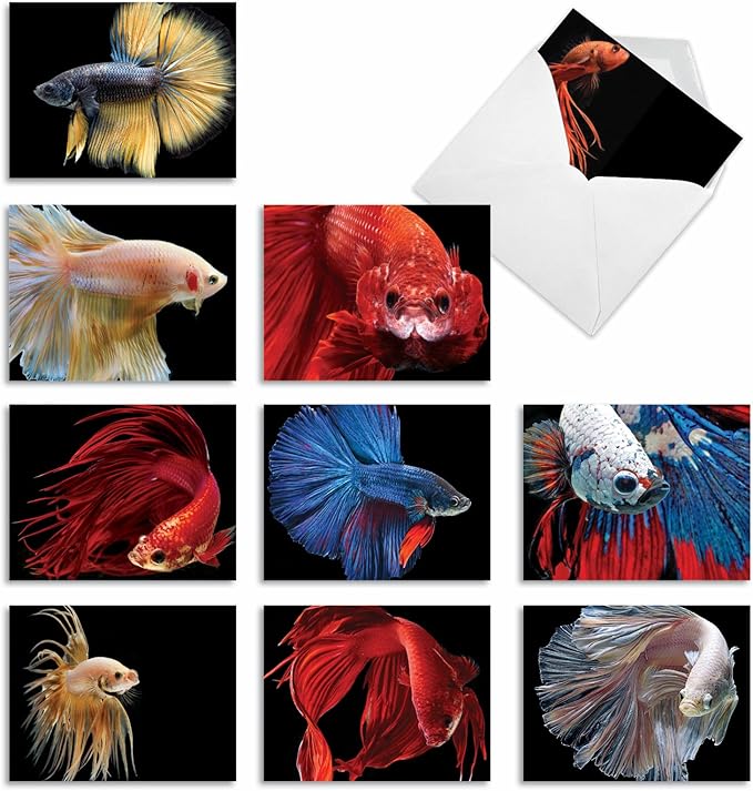 The Best Card Company - 10 All Occasion Blank Cards for Men and Women (4 x 5.12 Inch) - Nautical, Ocean, Sea Life Assortment of Notecards - Fancy Fins M1630BN