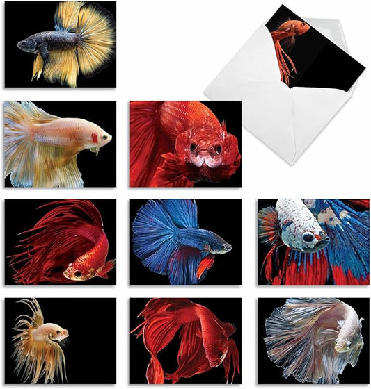 The Best Card Company - 10 All Occasion Blank Cards for Men and Women (4 x 5.12 Inch) - Nautical, Ocean, Sea Life Assortment of Notecards - Fancy Fins M1630BN