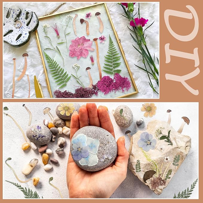 Nuanchu Dried Pressed Flowers Bulk Dried Mushrooms for Crafts Fake Mushrooms Natural Pressed Wildflowers Leave with Tweezer for Resin Mold Scrapbooking Nail Soap Making DIY Christmas Crafts Supplies