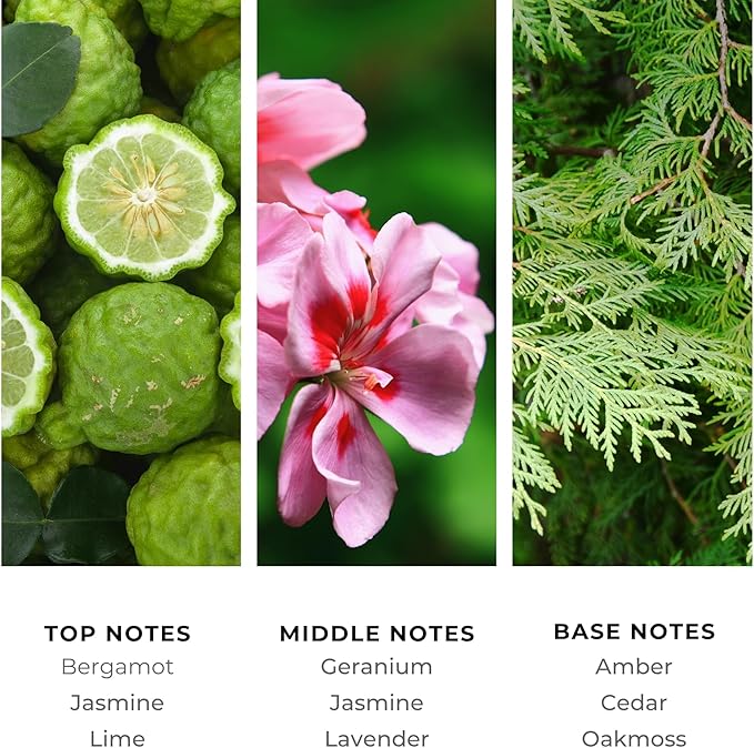 Brilliant Scents Aqua Intimo Fragrance Oil 200ml - Premium Diffuser Oil for Home, Office, Hotels - Long Lasting, Plant-Based, Meets IFRA Standards, USA-Made - Bergamot, Jasmine, Amber
