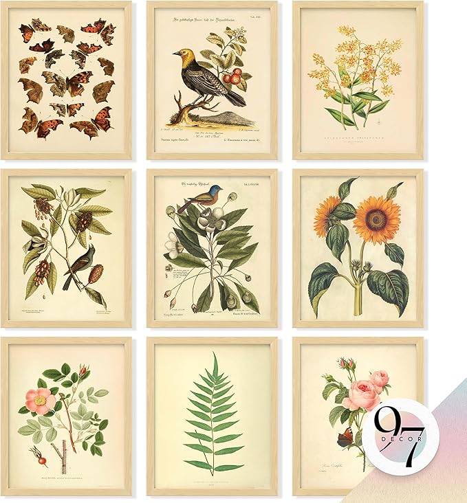 97 Decor Vintage Botanical Wall Art Decor - Plant Posters For Room Aesthetic, Vintage Botanical Prints Nature Wall Decor, Floral Pictures Butterfly Bird Art For Home Bedroom Decoration (8x10 Unframed)