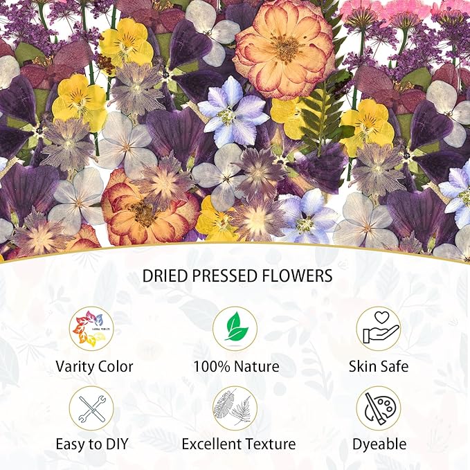 DALARAN 40 pcs Purple Flowers for Resin Model Real Dried Pressed Flowers Dry Leaves Bulk Natural Herbs Kit for Scrapbooking DIY Art Crafts, Epoxy Jewelry, Candle, Soap Making, Nails Decor