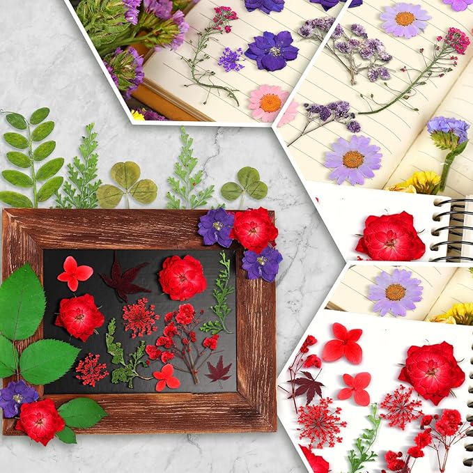 Nuanchu Dried Flower for Crafts Resin Pressed Flowers Bulk Real Dried Wildflowers Leave Natural with Tweezer for Resin Mold Scrapbooking DIY Nail Soap Candle Cake Card Making Christmas Craft Supplies
