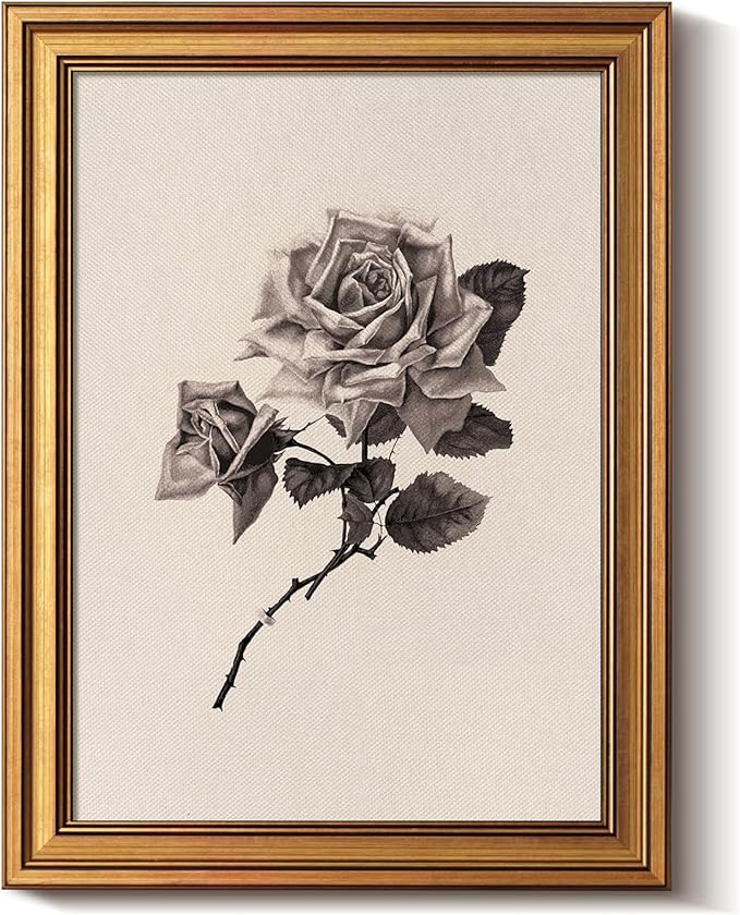 Bzstyleart Vintage Wall Art Decor for Living Room,Rose Flower Canvas Prints,Gold Framed Vintage Wall Decor,Sketch Painting Picture,Home Decor Aesthetic for Shelf Kitchen Bathroom,12L x 16W
