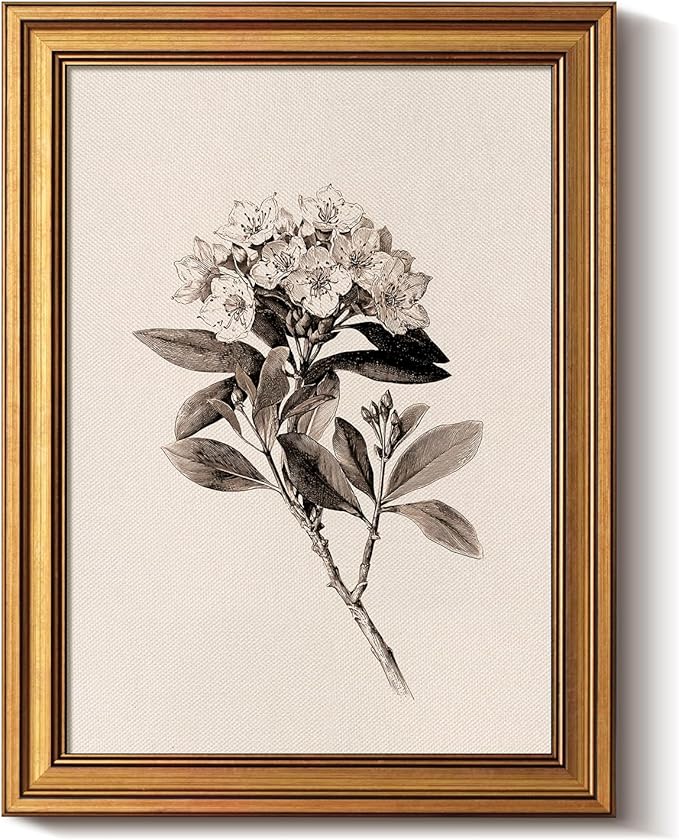 Bzstyleart Vintage Wall Art Decor,Canvas Framed Flower Wall Art,Sketch Painting Picture,Mountain Laurel Vintage Home Decor Aesthetic for Living Room,Bathroom Pictures,12L x 16W