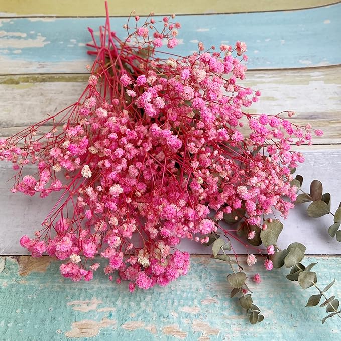 L'BREVOGA Dried Flower Bouquets, Preserved Pink Baby's Breath with Eucalyptus for Decoration Floral Arrangement Home Party (Baby's Breath Pink)
