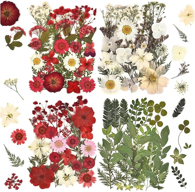 DALARAN 100pcs Red Natural Dried Flowers and Leaves Compressed Dried Flowers for Resin Vacuum Packed DIY for Epoxy Jewelry Candles Soap Nail Production