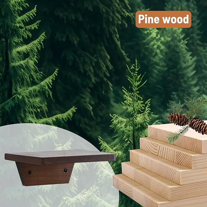 PHOENANCEE Small Floating Shelves,Speaker Shelf,Trapezoid Wall Shelf for Table Lamp Plants Display,Decorative Wood Ledges Chic for Living Room,Bedroom,Kitchen,Office,Pine,8x6 Inch,4 Pack(Walnut)