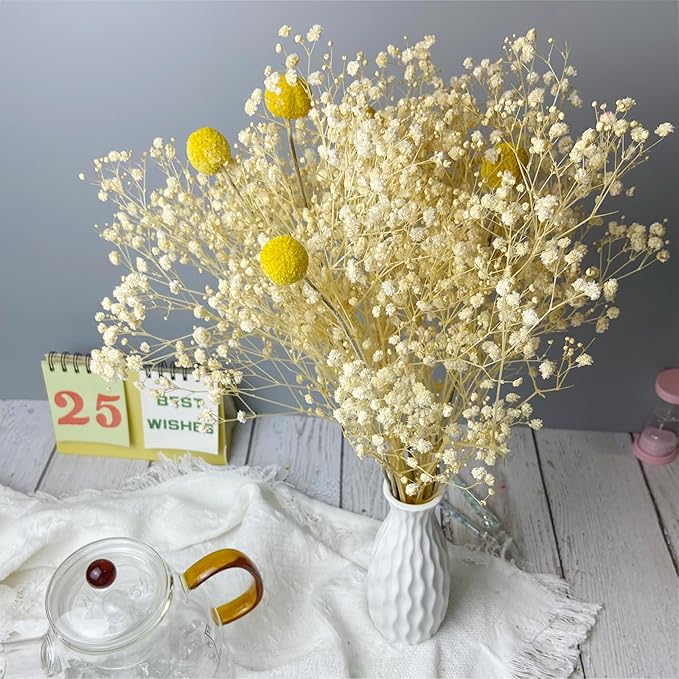L'BREVOGA Baby's Breath Bulk with Billy Button, 16 inches Preserved Baby's Breath for Floral Arrangments Home Wedding Decoration (Gypsophila White)