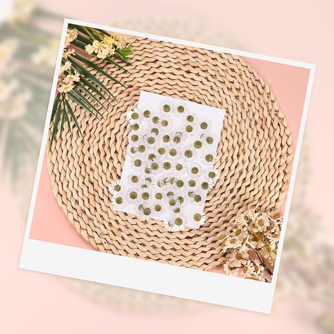 60-Pack Dried Pressed Flowers for Resin, Real Natural Bulk Dry Floral for Crafts/DIY Jewelry/Soap Making/Scrapbooking/Handmade Candle/Epoxy Resin Supplies [White]