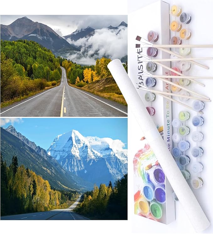 BAISITE Paint by Numbers Kit for Adults Beginners,16" Wx12 L 2 Pack Canvas for Painting Kits for Adults in Colorful Box-BAIPBN651-652